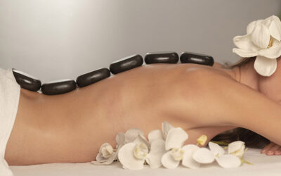 What is Holistic Health?